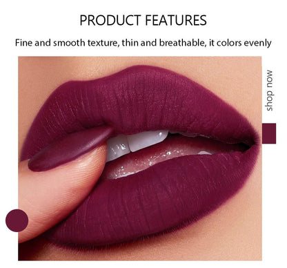 24H Long Lasting 5 In 1 Velvet Lipstick