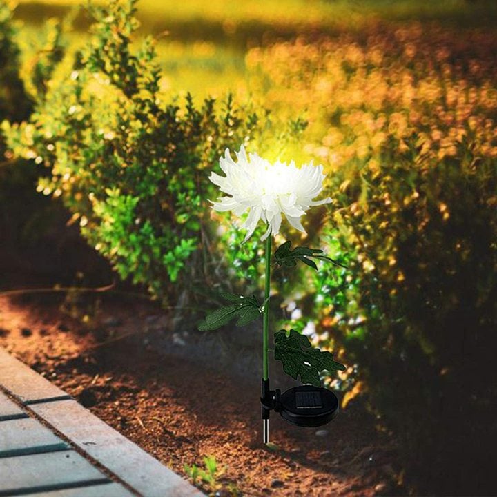 SOLAR GARDEN STAKE LIGHTS